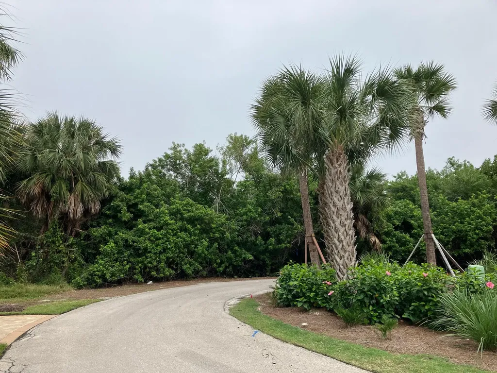 124 Wild Cherry Lane Marco Island FL 34145