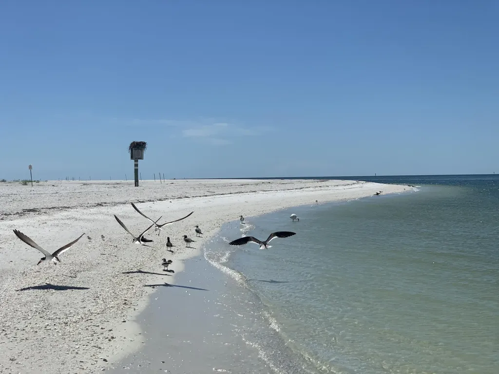 2031 Sheffield Avenue Marco Island FL 34145