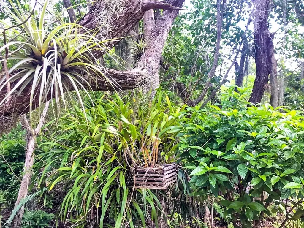 1702 Bunting Lane Sanibel FL 33957