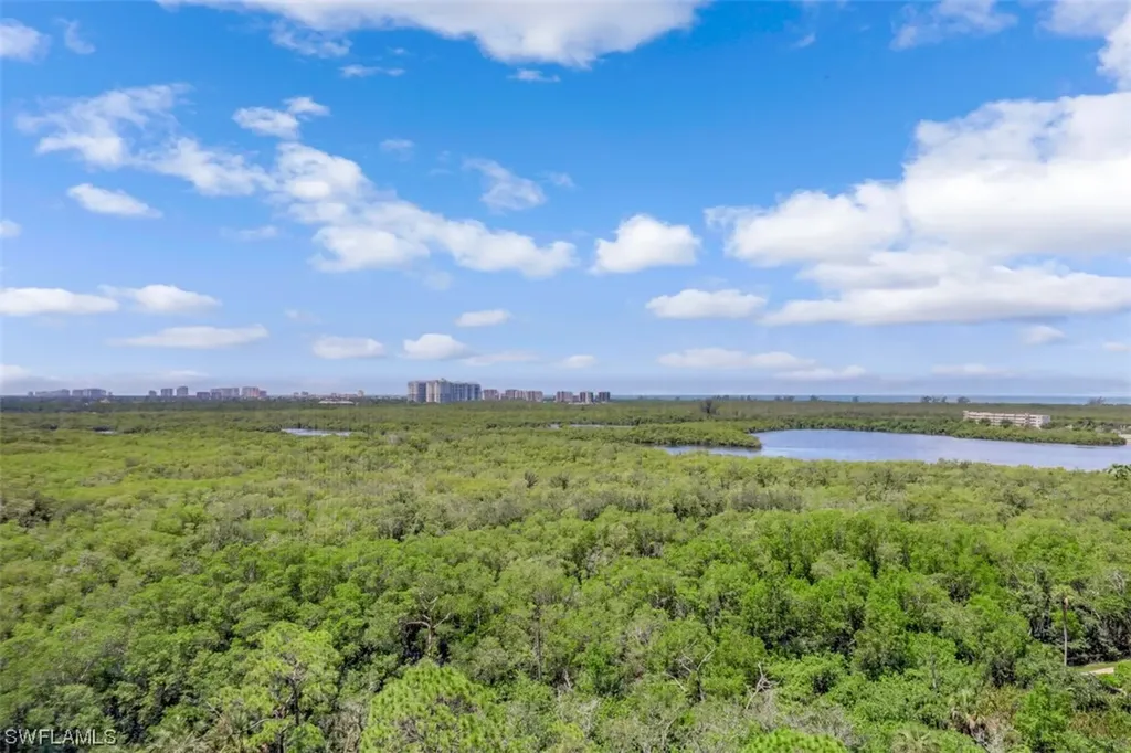 445 Cove Tower Drive Naples FL 34110
