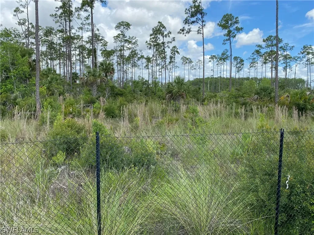 19032 Marquesa Drive Fort Myers FL 33913