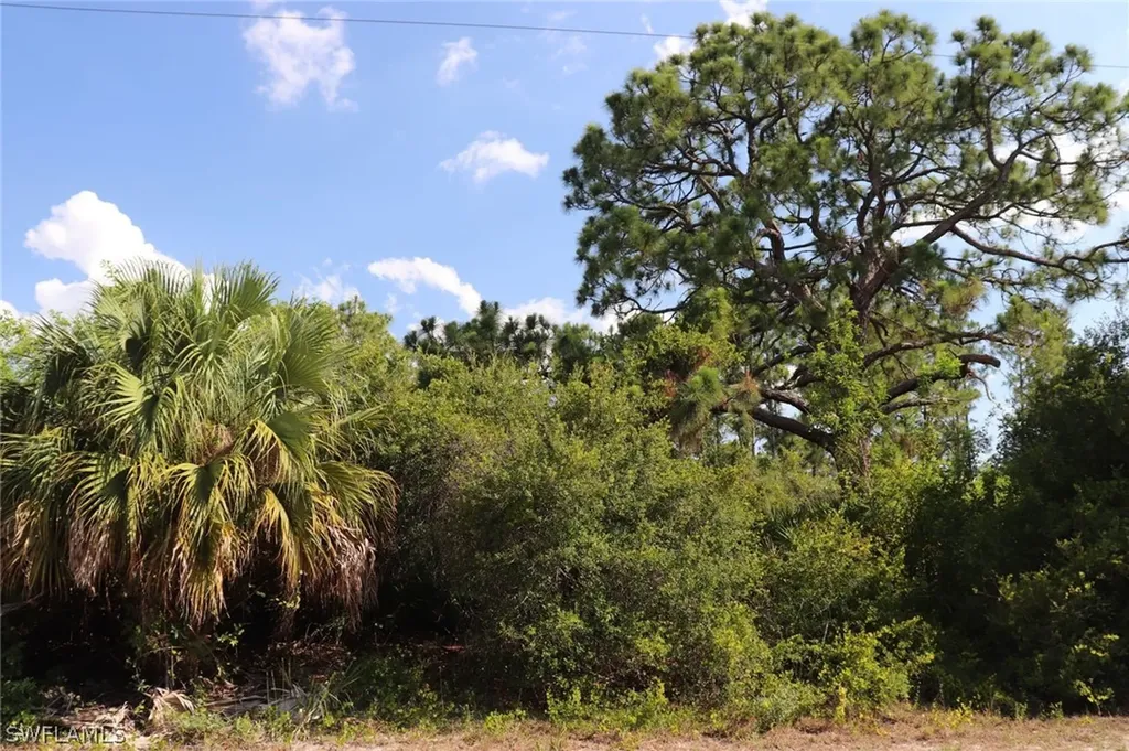 4244 E 24th Street Alva FL 33920