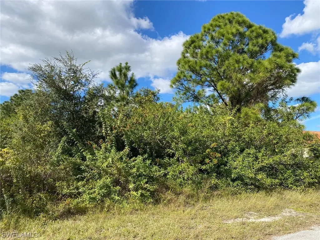 2908 Xelda Avenue S Lehigh Acres FL 33976