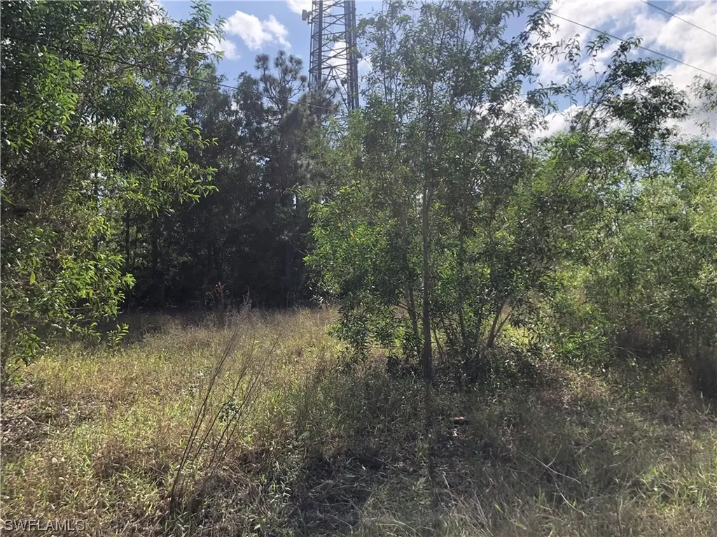19665 Immokalee Road Naples FL 34120