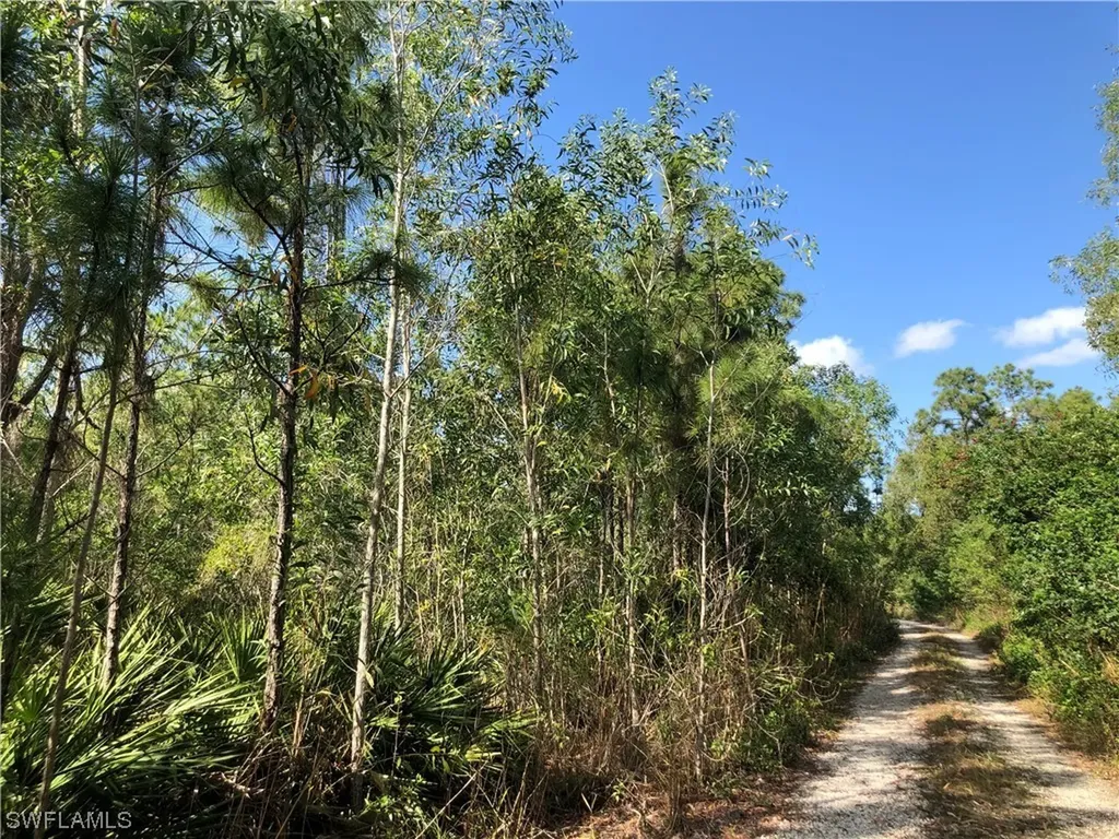 19665 Immokalee Road Naples FL 34120