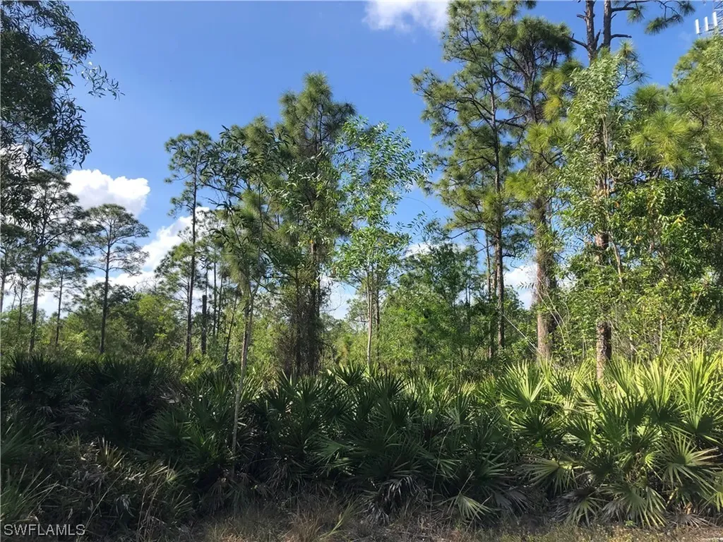 19665 Immokalee Road Naples FL 34120