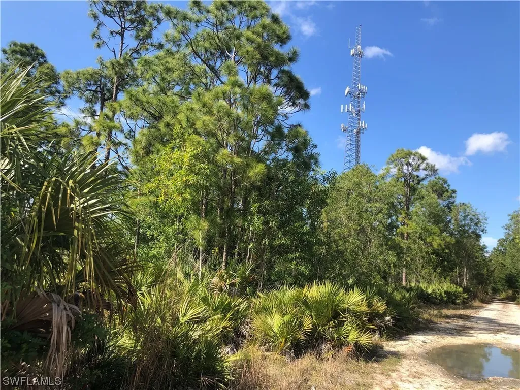 19665 Immokalee Road Naples FL 34120