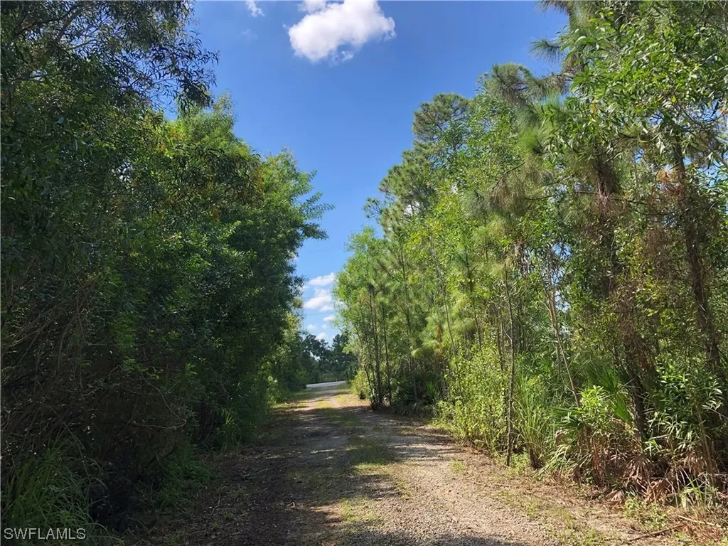 19665 Immokalee Road Naples FL 34120