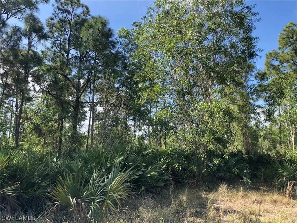 19665 Immokalee Road Naples FL 34120