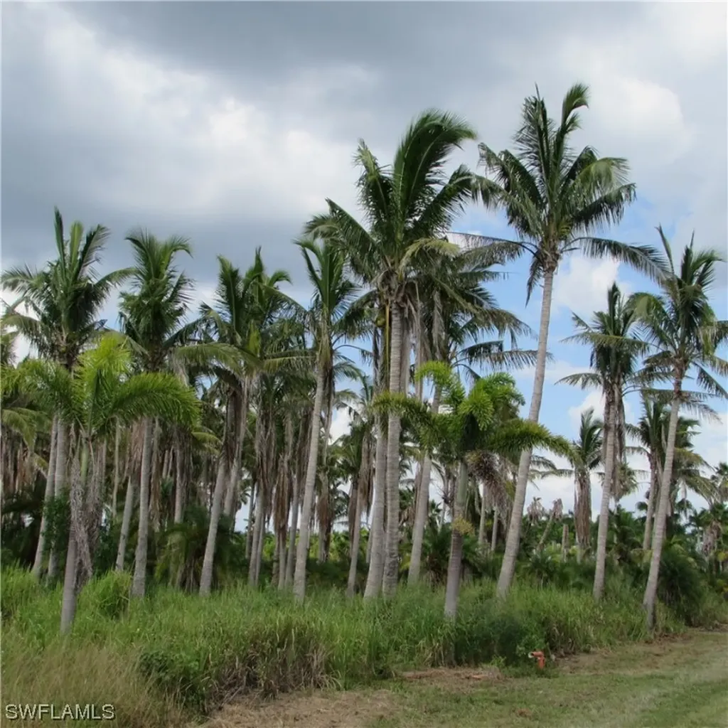 14900 Stringfellow Road Bokeelia FL 33922