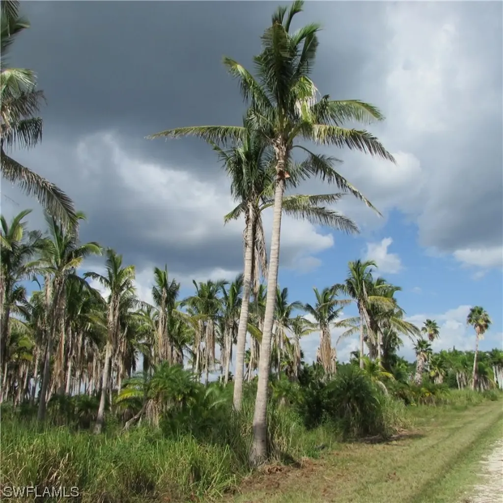 14900 Stringfellow Road Bokeelia FL 33922