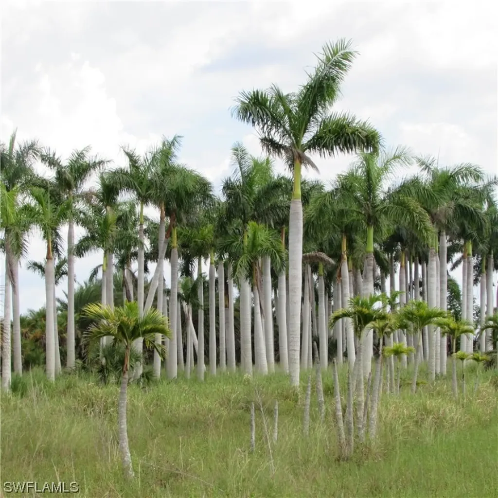 14900 Stringfellow Road Bokeelia FL 33922