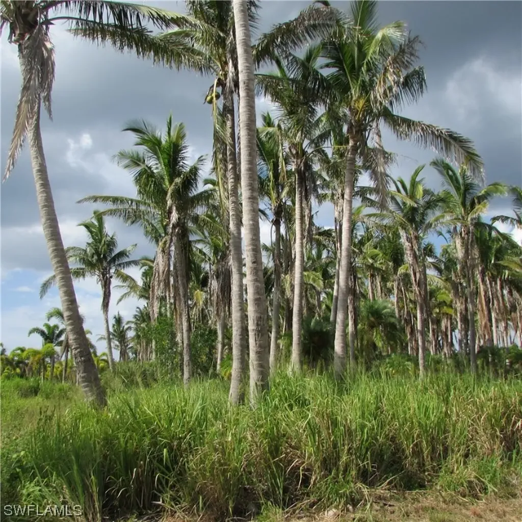 14900 Stringfellow Road Bokeelia FL 33922