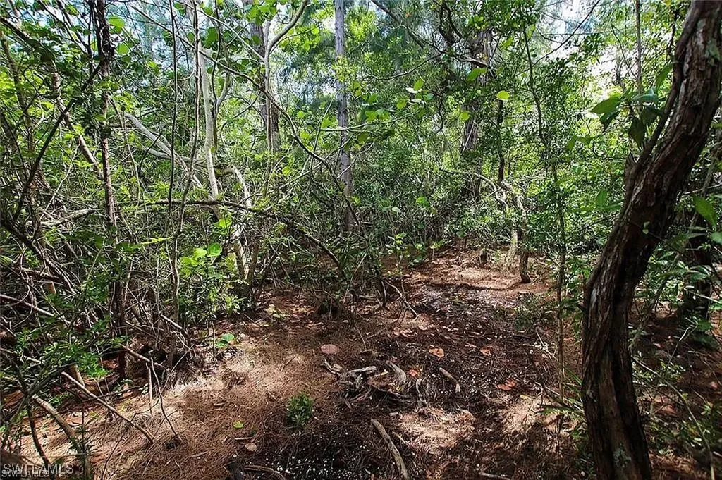 4538 Bowen Bayou Road Sanibel FL 33957