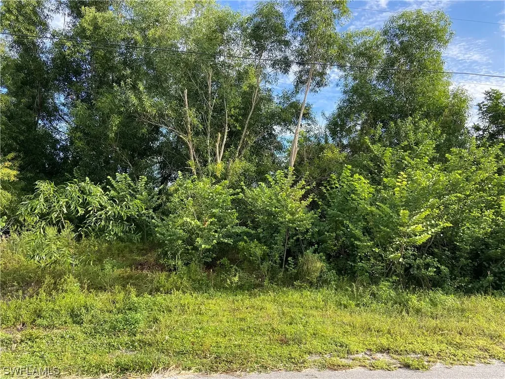 3014 6th Street W Lehigh Acres FL 33971