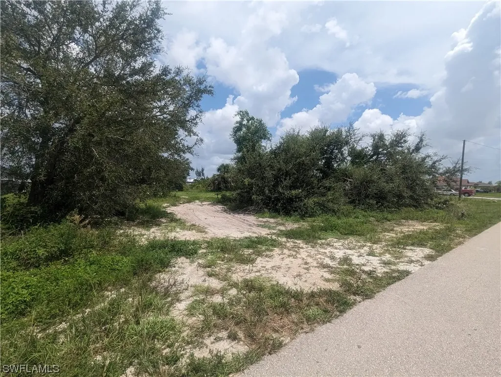 1315 SW 17th Place Cape Coral FL 33991