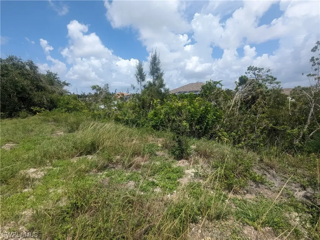 1315 SW 17th Place Cape Coral FL 33991