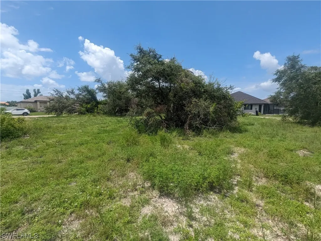 1315 SW 17th Place Cape Coral FL 33991