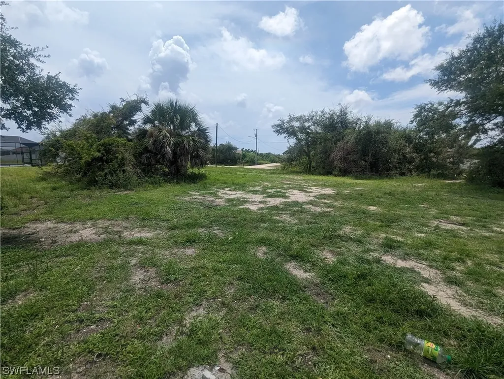 1315 SW 17th Place Cape Coral FL 33991