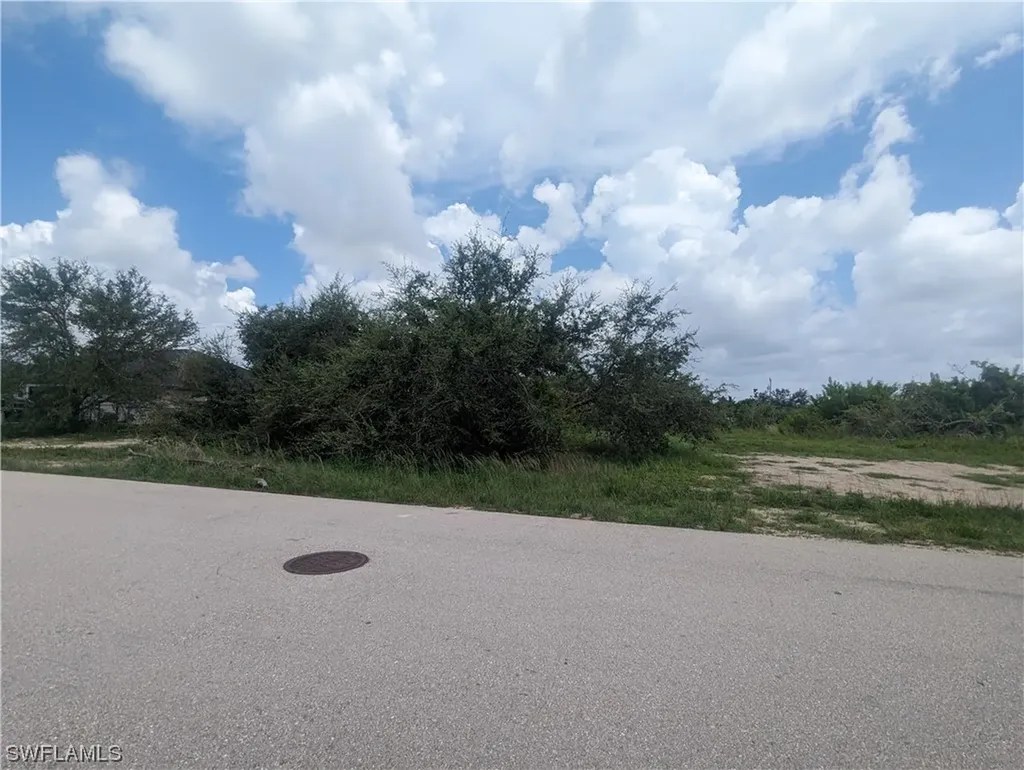 1315 SW 17th Place Cape Coral FL 33991