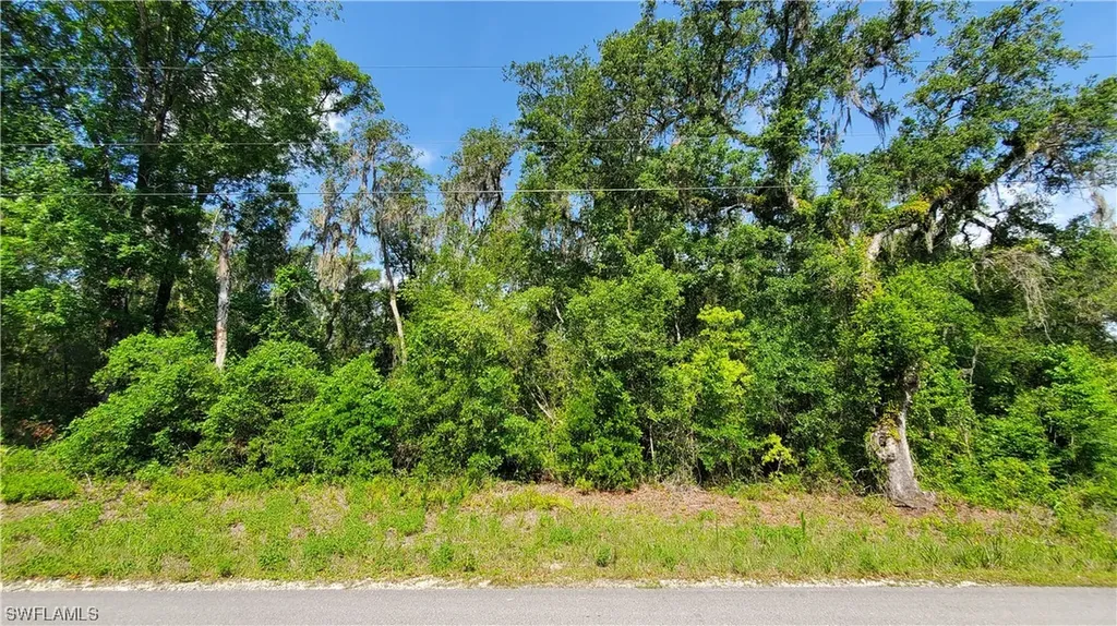 8001 Shasta Street Webster FL 33597