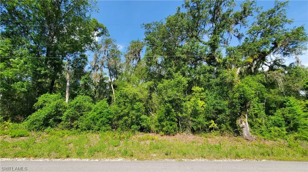 7491 Shasta Street Webster FL 33597