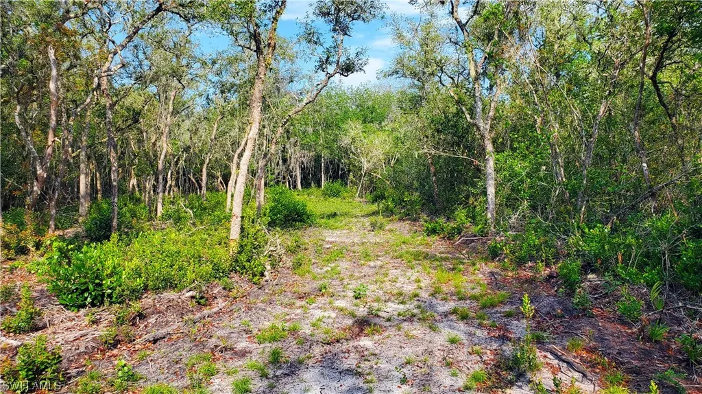 8115 Shasta Street Webster FL 33597