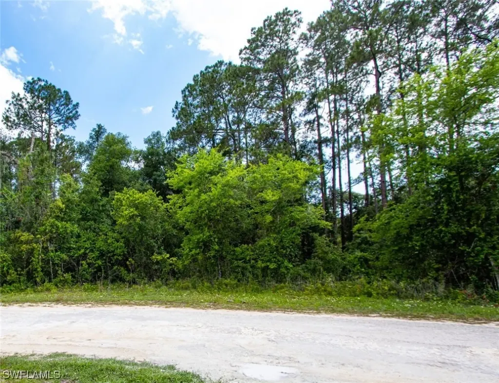 34160 Haas Drive Webster FL 33597