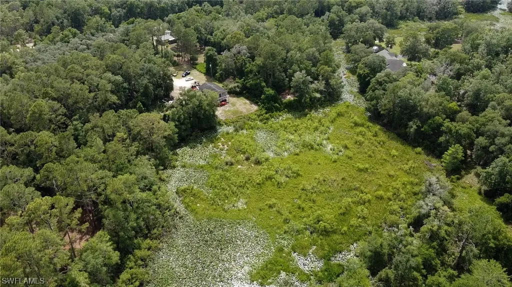 34160 Haas Drive Webster FL 33597