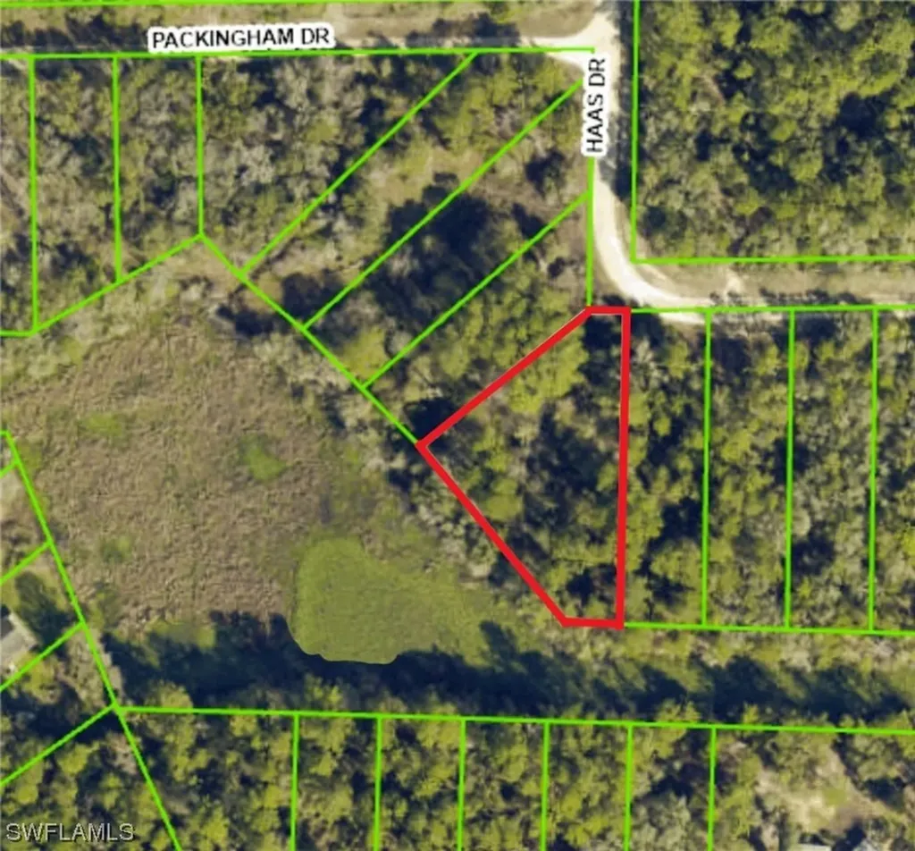 34160 Haas Drive Webster FL 33597
