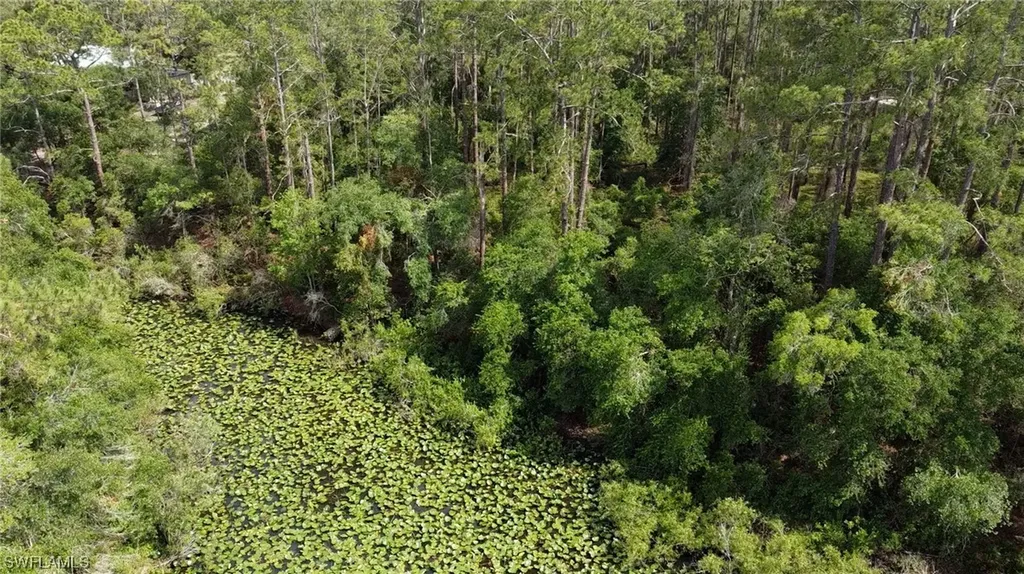 34160 Haas Drive Webster FL 33597