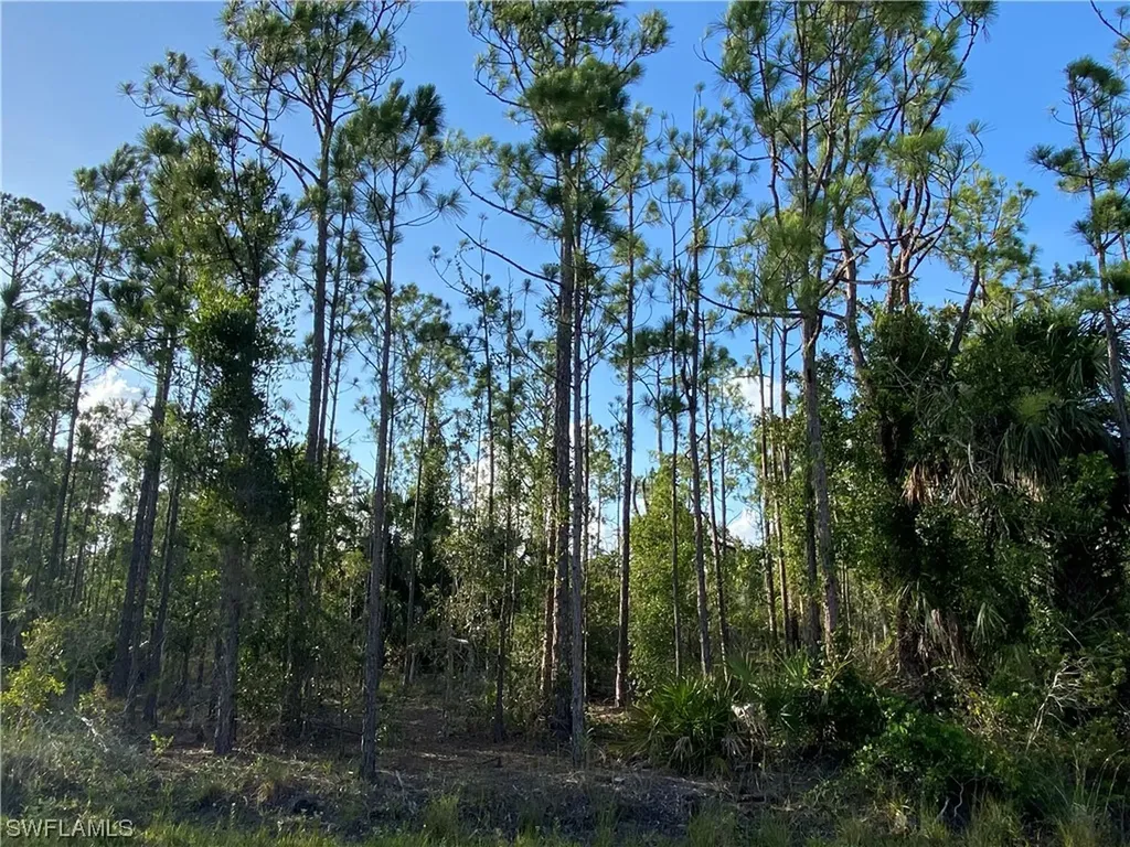 27166 Dubonet Drive Punta Gorda FL 33955