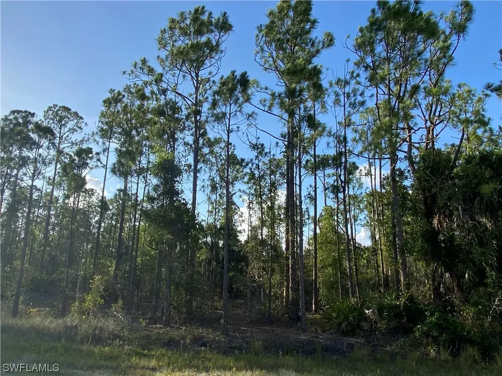 27166 Dubonet Drive Punta Gorda FL 33955