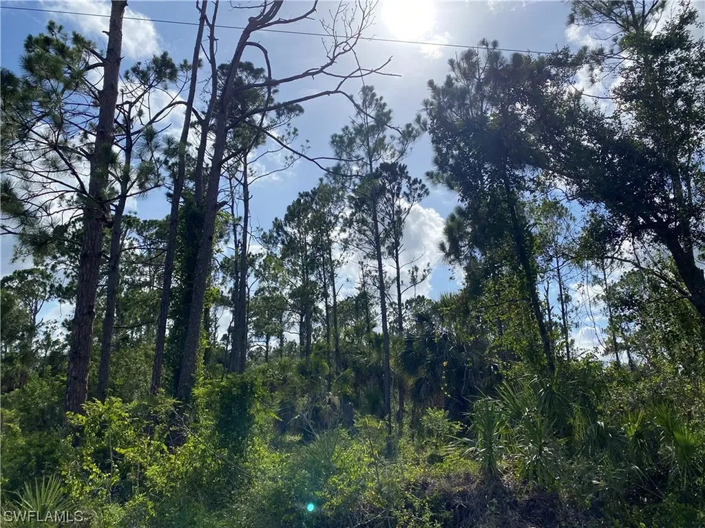 2063 Fernwood Street Port Charlotte FL 33948