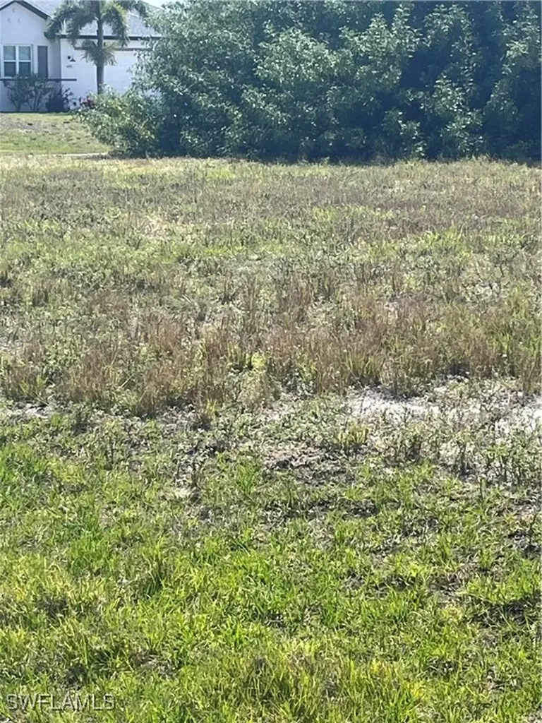 2020 NW 4th Terrace Cape Coral FL 33993