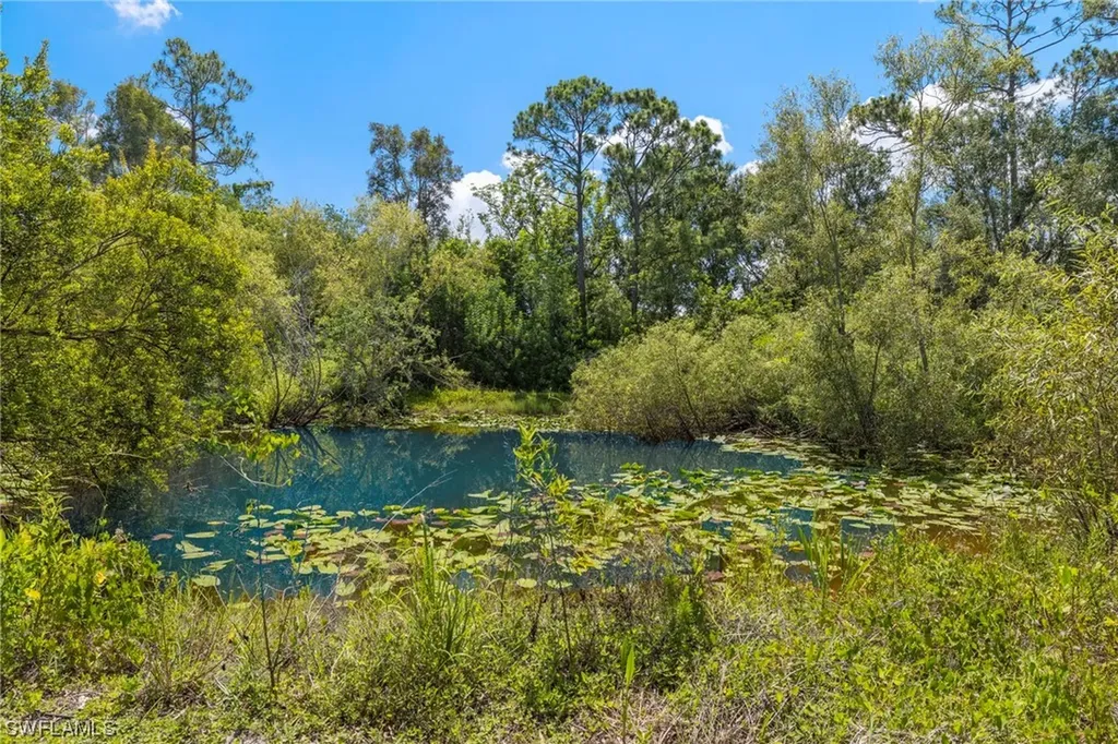 13100 Pinto Lane Fort Myers FL 33912