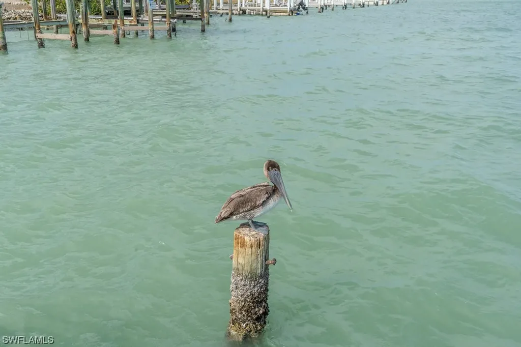 10 Tampa Place Marco Island FL 34145