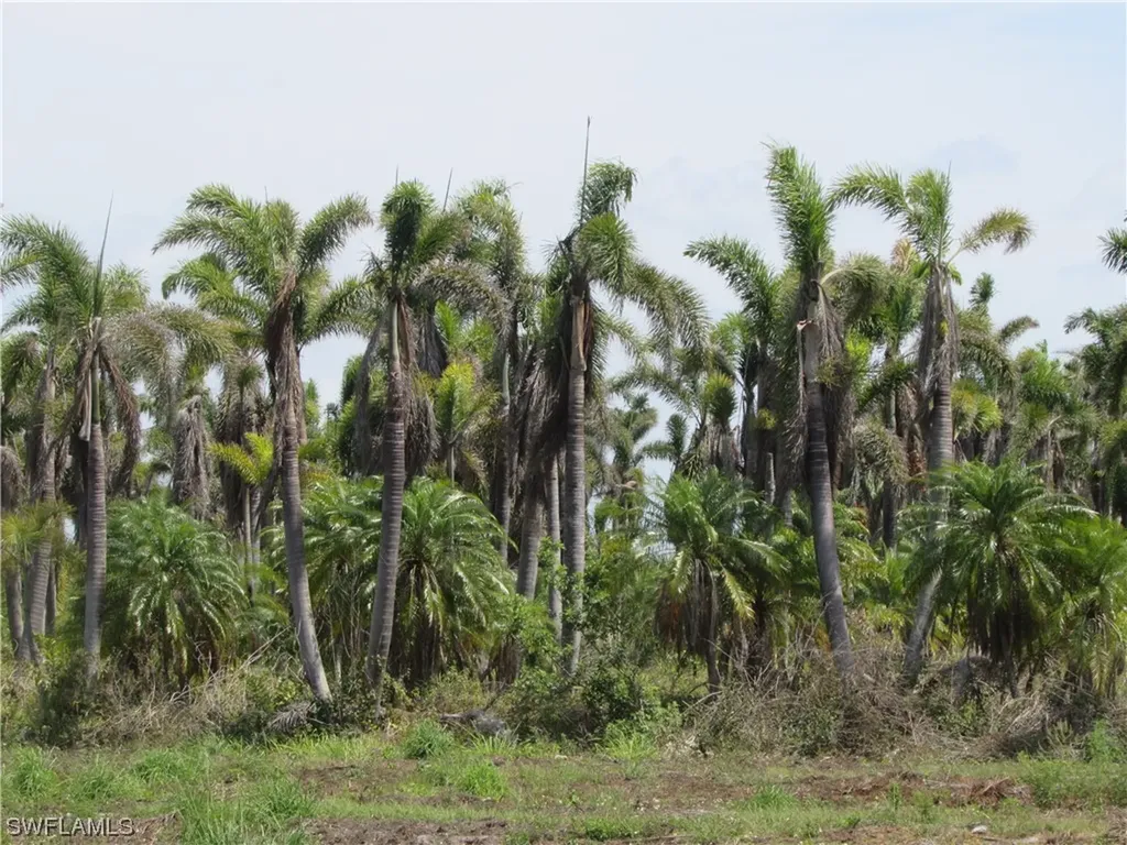 13350 Stringfellow Road Bokeelia FL 33922