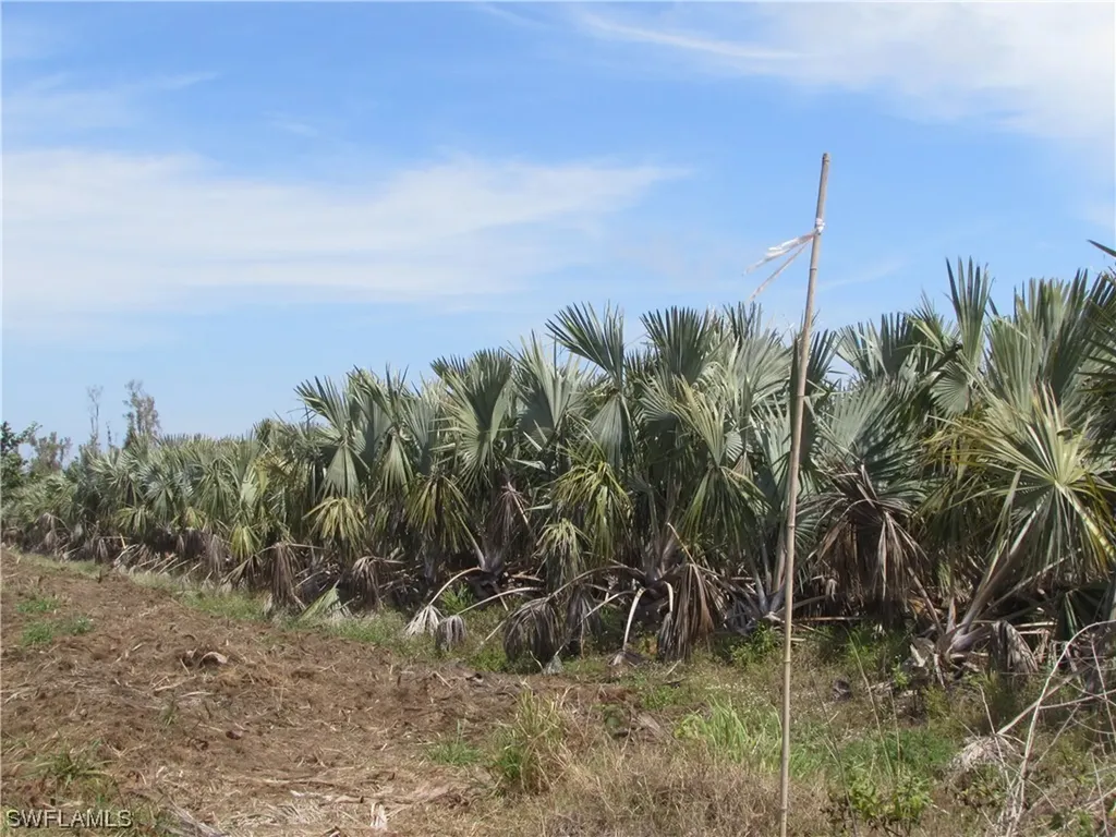 13350 Stringfellow Road Bokeelia FL 33922