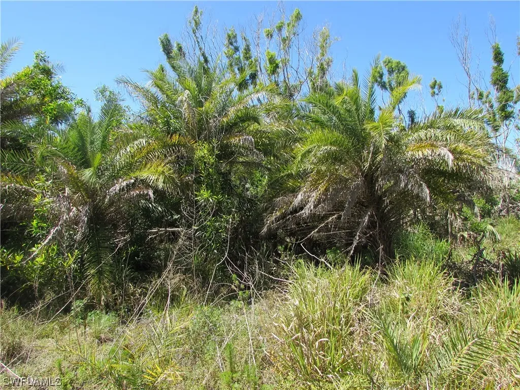 Samadani Lane Bokeelia FL 33922