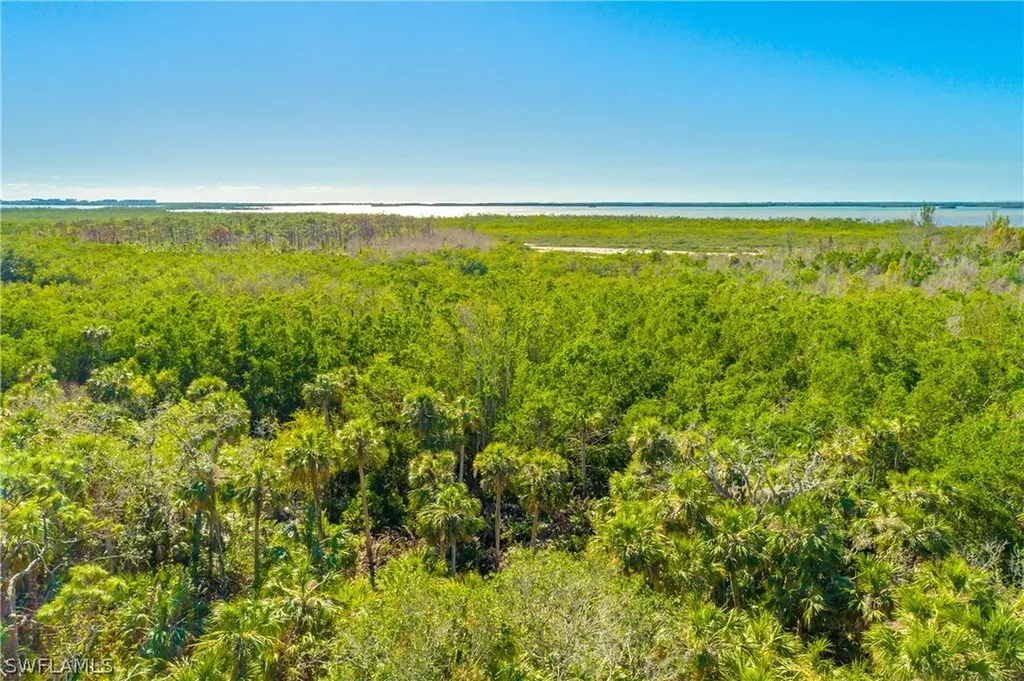 4771 Via Del Corso Lane Bonita Springs FL 34134