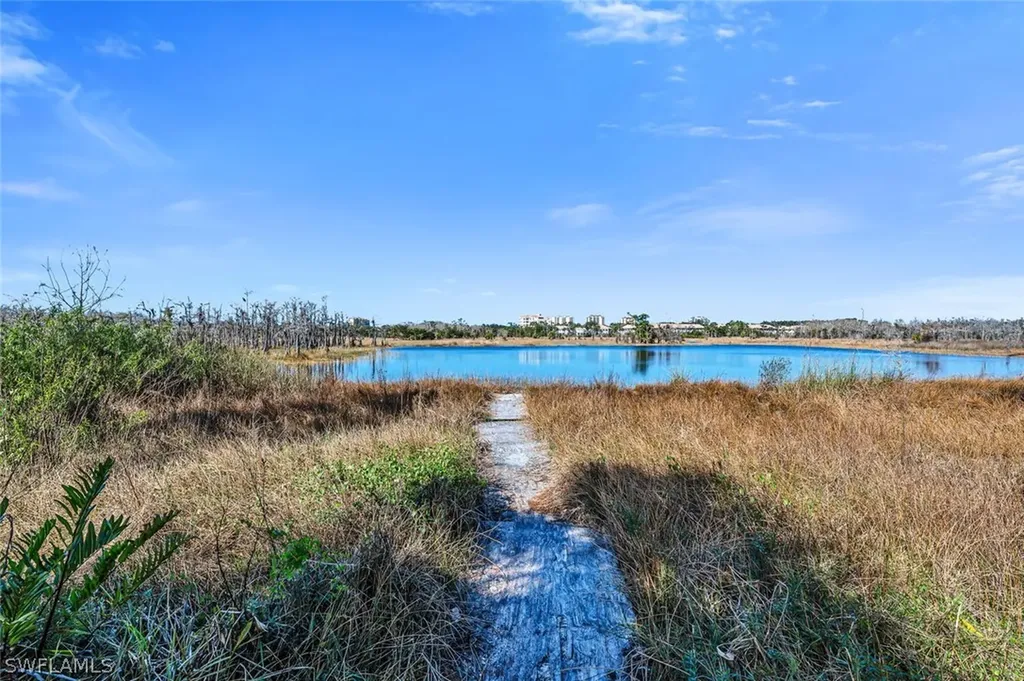 24460 Woodsage Drive Bonita Springs FL 34134
