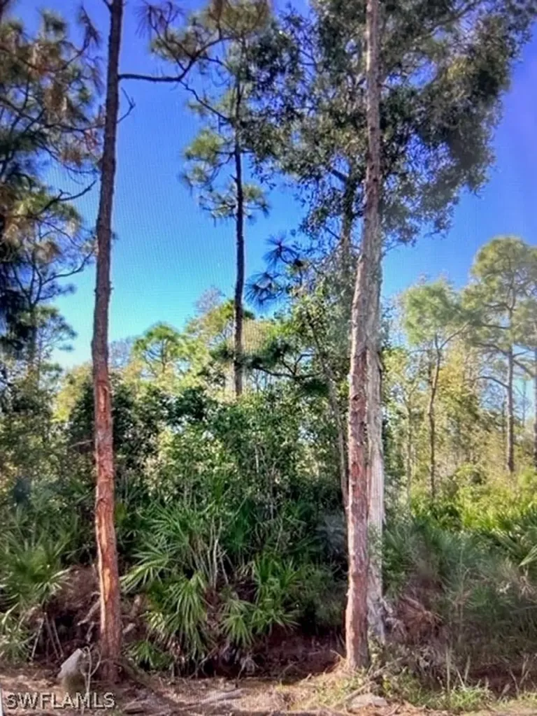 8945 Evergreen Lane St. James City FL 33956