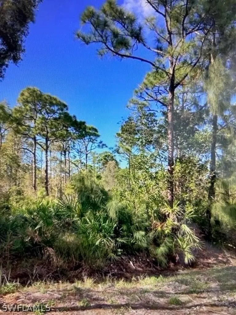 8945 Evergreen Lane St. James City FL 33956