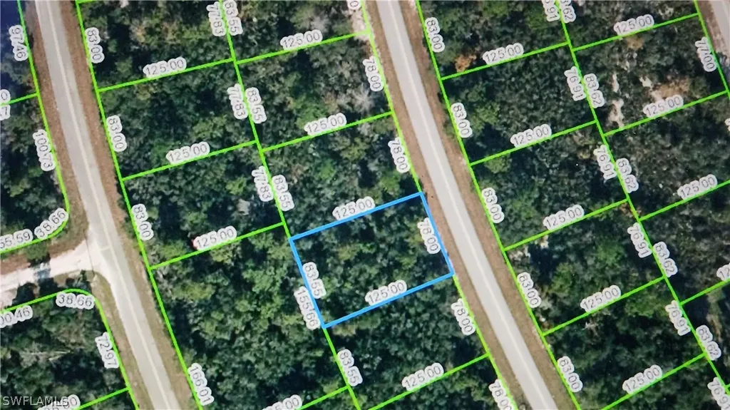 121 Fillmore Avenue NE Lake Placid FL 33852