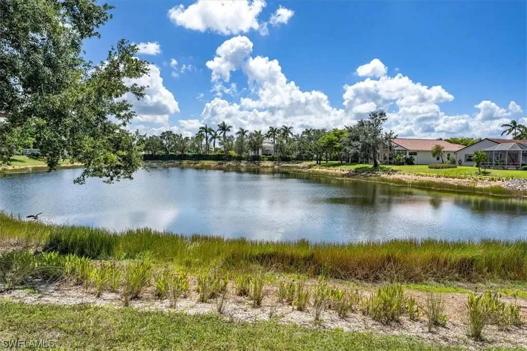 20035 Alana Court Estero FL 33928