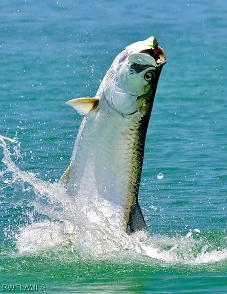 Corner Lot Beacon Lane Bokeelia FL 33922