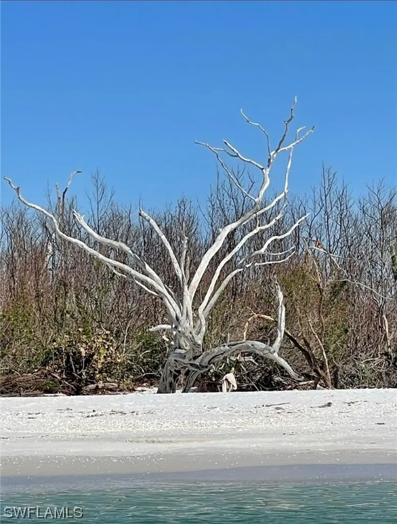 11321 Pejuan Shores Cayo Costa FL 33924