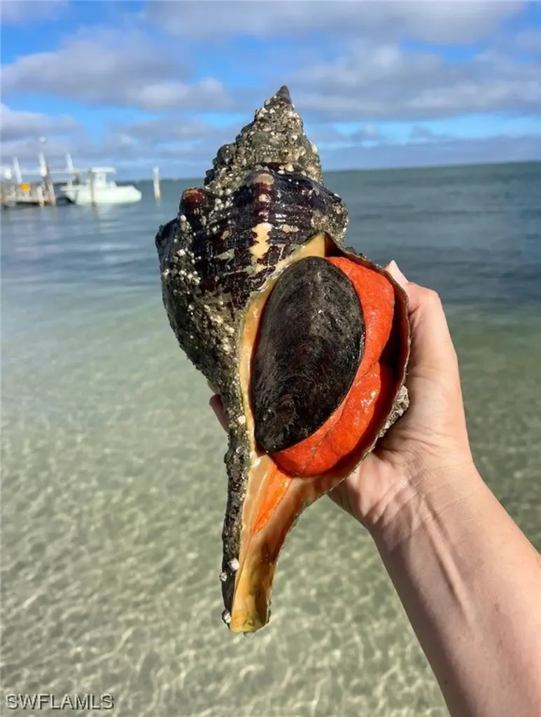 11321 Pejuan Shores Cayo Costa FL 33924