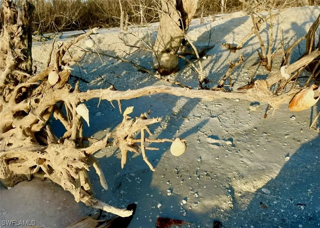 11321 Pejuan Shores Cayo Costa FL 33924